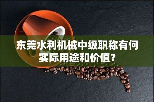 東莞水利機械中級職稱有何實際用途和價值？