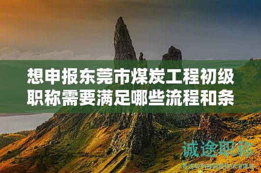 想申報東莞市煤炭工程初級職稱需要滿足哪些流程和條件要求？