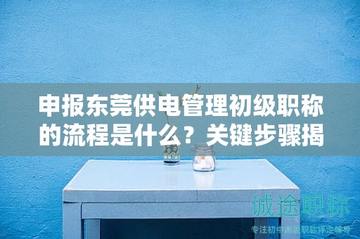 申報東莞供電管理初級職稱的流程是什么？關(guān)鍵步驟揭秘成功獲得職稱