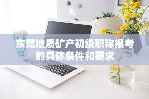 東莞地質(zhì)礦產(chǎn)初級職稱報(bào)考的具體條件和要求