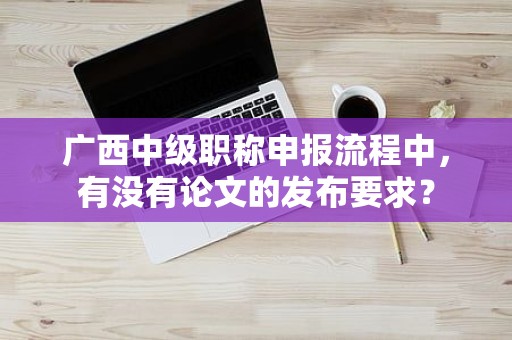 廣西中級(jí)職稱申報(bào)流程中，有沒有論文的發(fā)布要求？