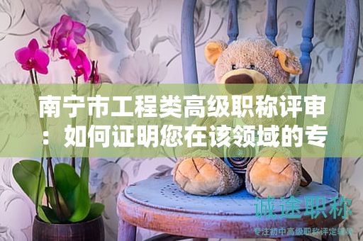 南寧市工程類高級(jí)職稱評(píng)審：如何證明您在該領(lǐng)域的專業(yè)能力？