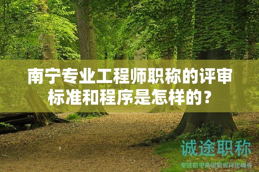 南寧專業(yè)工程師職稱的評審標(biāo)準(zhǔn)和程序是怎樣的？