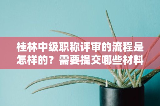 桂林中級(jí)職稱評(píng)審的流程是怎樣的？需要提交哪些材料？