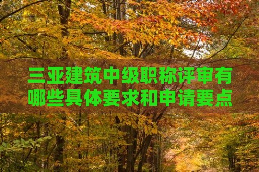 三亞建筑中級(jí)職稱評(píng)審有哪些具體要求和申請(qǐng)要點(diǎn)？