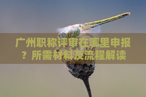 廣州職稱評(píng)審在哪里申報(bào)？所需材料及流程解讀