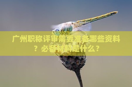 廣州職稱評(píng)審需要準(zhǔn)備哪些資料？必備材料是什么？