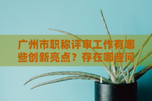 廣州市職稱評審工作有哪些創(chuàng)新亮點？存在哪些問題？