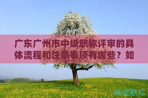 廣東廣州市中級職稱評審的具體流程和注意事項(xiàng)有哪些？如何備考？