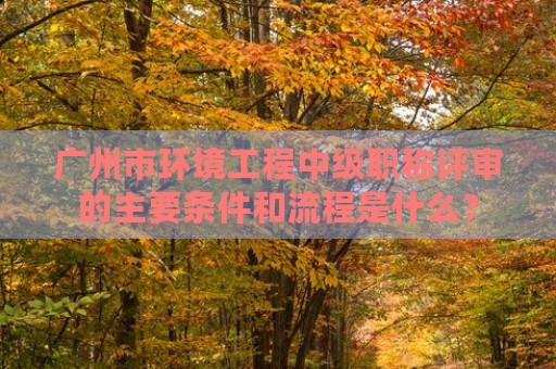 廣州市環(huán)境工程中級職稱評審的主要條件和流程是什么？