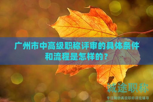 廣州市中高級職稱評審的具體條件和流程是怎樣的？