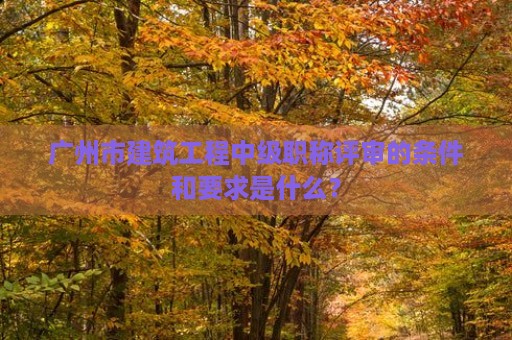 廣州市建筑工程中級職稱評審的條件和要求是什么？