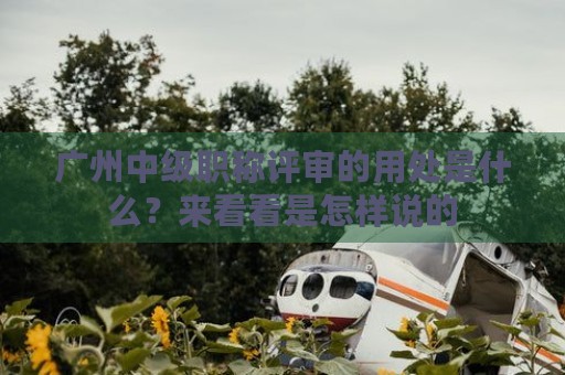 廣州中級職稱評審的用處是什么？來看看是怎樣說的
