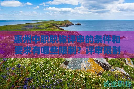 惠州中職職稱評審的條件和要求有哪些限制？評審限制條件詳述