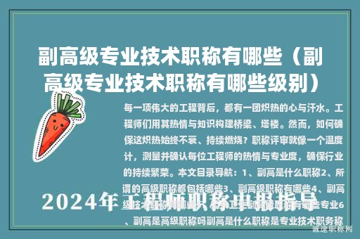 副高級專業(yè)技術職稱有哪些（副高級專業(yè)技術職稱有哪些級別）