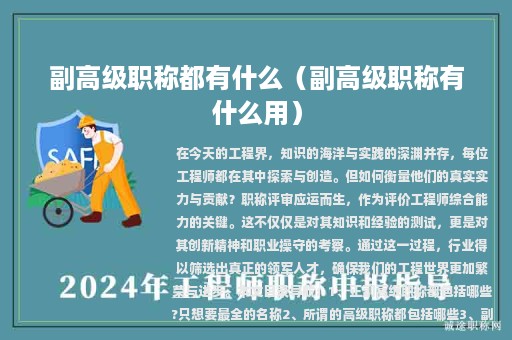 副高級職稱都有什么（副高級職稱有什么用）
