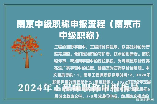 南京中級職稱申報流程（南京市中級職稱）