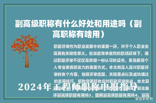 副高級(jí)職稱有什么好處和用途嗎（副高職稱有啥用）