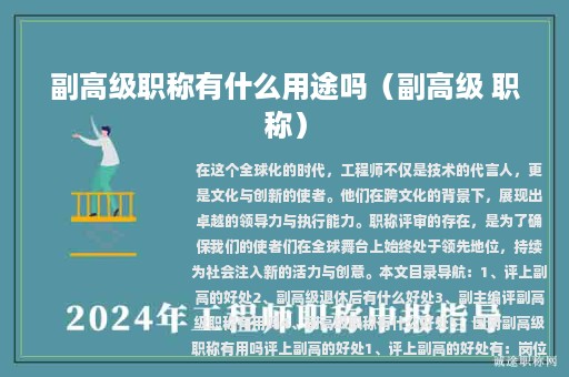 副高級職稱有什么用途嗎（副高級 職稱）