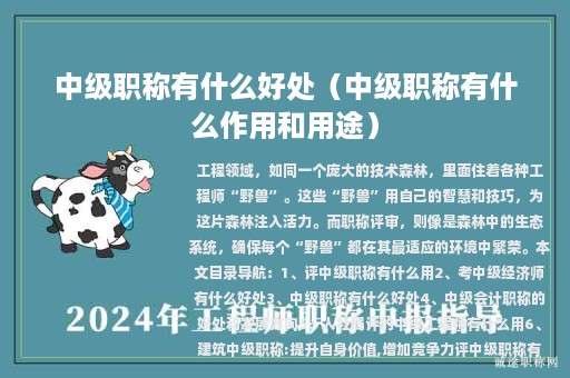 中級(jí)職稱有什么好處（中級(jí)職稱有什么作用和用途）