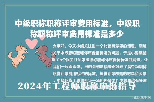 中級職稱職稱評審費用標(biāo)準(zhǔn)，中級職稱職稱評審費用標(biāo)準(zhǔn)是多少