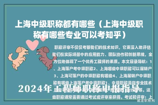 上海中級(jí)職稱都有哪些（上海中級(jí)職稱有哪些專業(yè)可以考知乎）