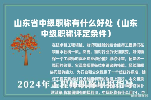 山東省中級職稱有什么好處（山東中級職稱評定條件）