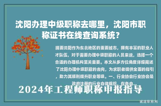 沈陽辦理中級(jí)職稱去哪里，沈陽市職稱證書在線查詢系統(tǒng)？
