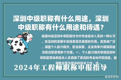 深圳中級(jí)職稱有什么用途，深圳中級(jí)職稱有什么用途和待遇？