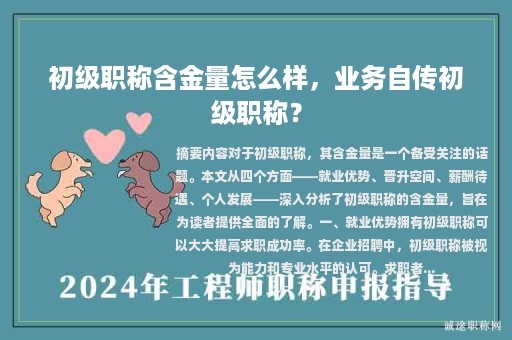 初級(jí)職稱(chēng)含金量怎么樣，業(yè)務(wù)自傳初級(jí)職稱(chēng)？