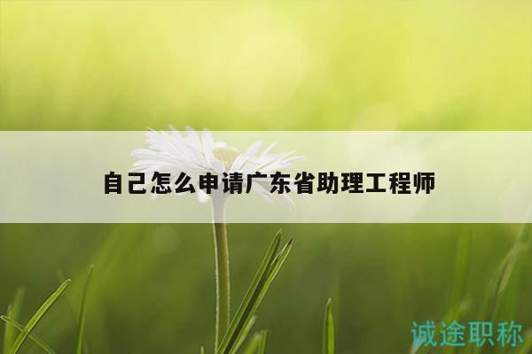 自己怎么申請(qǐng)廣東省助理工程師（這些方法你要知道）