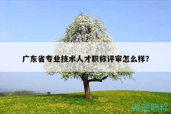 廣東省專業(yè)技術(shù)人才職稱評審怎么樣？