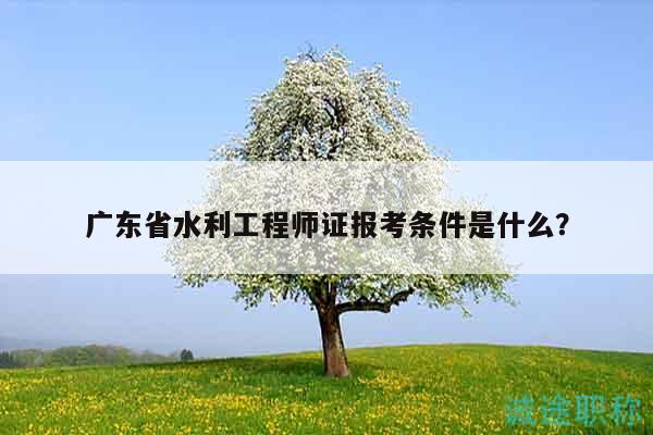 廣東省水利工程師證報考條件是什么？