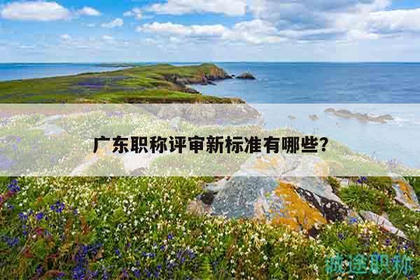廣東職稱評審新標準有哪些？
