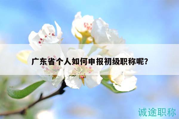 廣東省個人如何申報初級職稱呢？