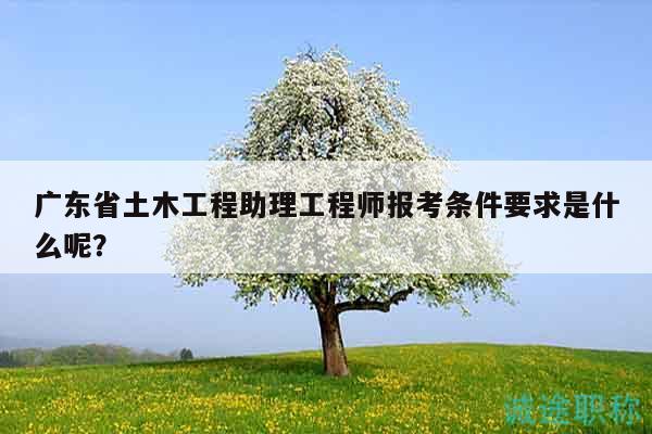 廣東省土木工程助理工程師報考條件要求是什么呢？