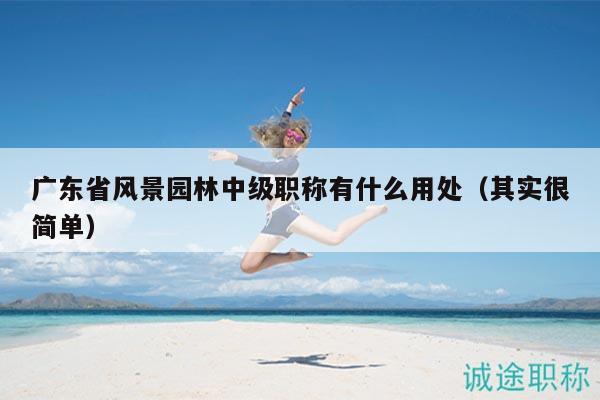 廣東省風(fēng)景園林中級(jí)職稱有什么用處（其實(shí)很簡(jiǎn)單）
