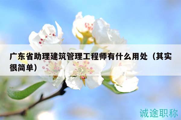 廣東省助理建筑管理工程師有什么用處（其實(shí)很簡單）