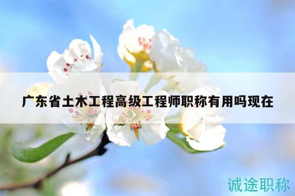 廣東省土木工程高級(jí)工程師職稱有用嗎現(xiàn)在