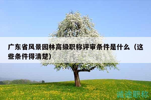 廣東省風(fēng)景園林高級職稱評審條件是什么（這些條件得清楚）