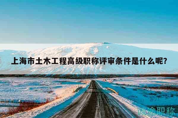 上海市土木工程高級職稱評審條件是什么呢？