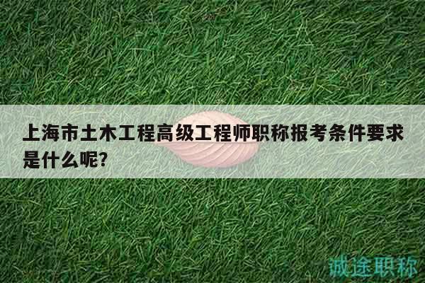 上海市土木工程高級工程師職稱報(bào)考條件要求是什么呢？