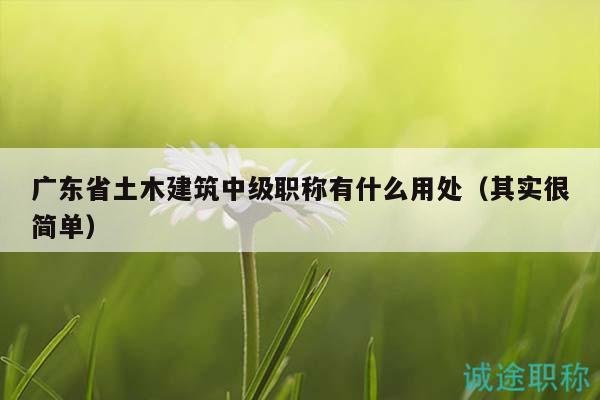 廣東省土木建筑中級職稱有什么用處（其實很簡單）