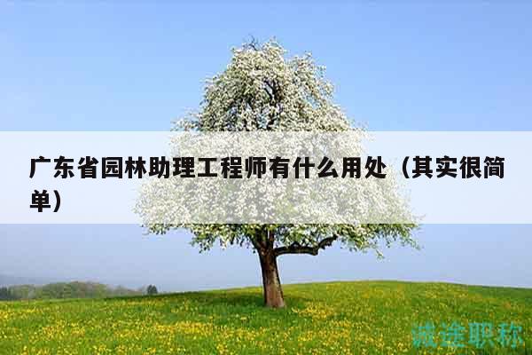 廣東省園林助理工程師有什么用處（其實(shí)很簡單）