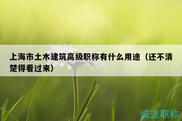 上海市土木建筑高級(jí)職稱有什么用途（還不清楚得看過(guò)來(lái)）