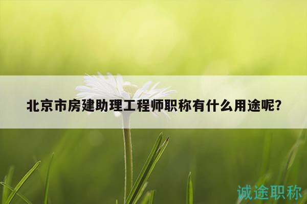 北京市房建助理工程師職稱有什么用途呢？