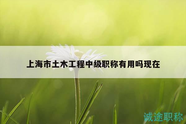 上海市土木工程中級(jí)職稱(chēng)有用嗎現(xiàn)在