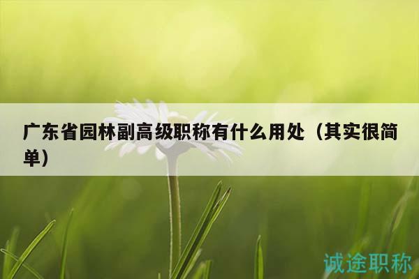 廣東省園林副高級(jí)職稱有什么用處（其實(shí)很簡(jiǎn)單）