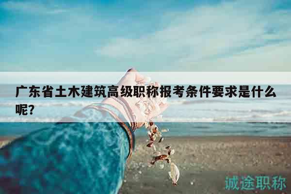 廣東省土木建筑高級(jí)職稱(chēng)報(bào)考條件要求是什么呢？