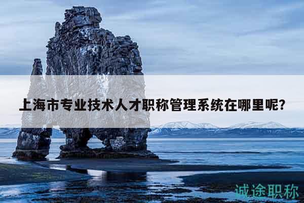 上海市專業(yè)技術(shù)人才職稱管理系統(tǒng)在哪里呢？